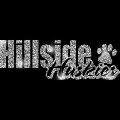 GLT1 SILVER GLITTER Thumbnail